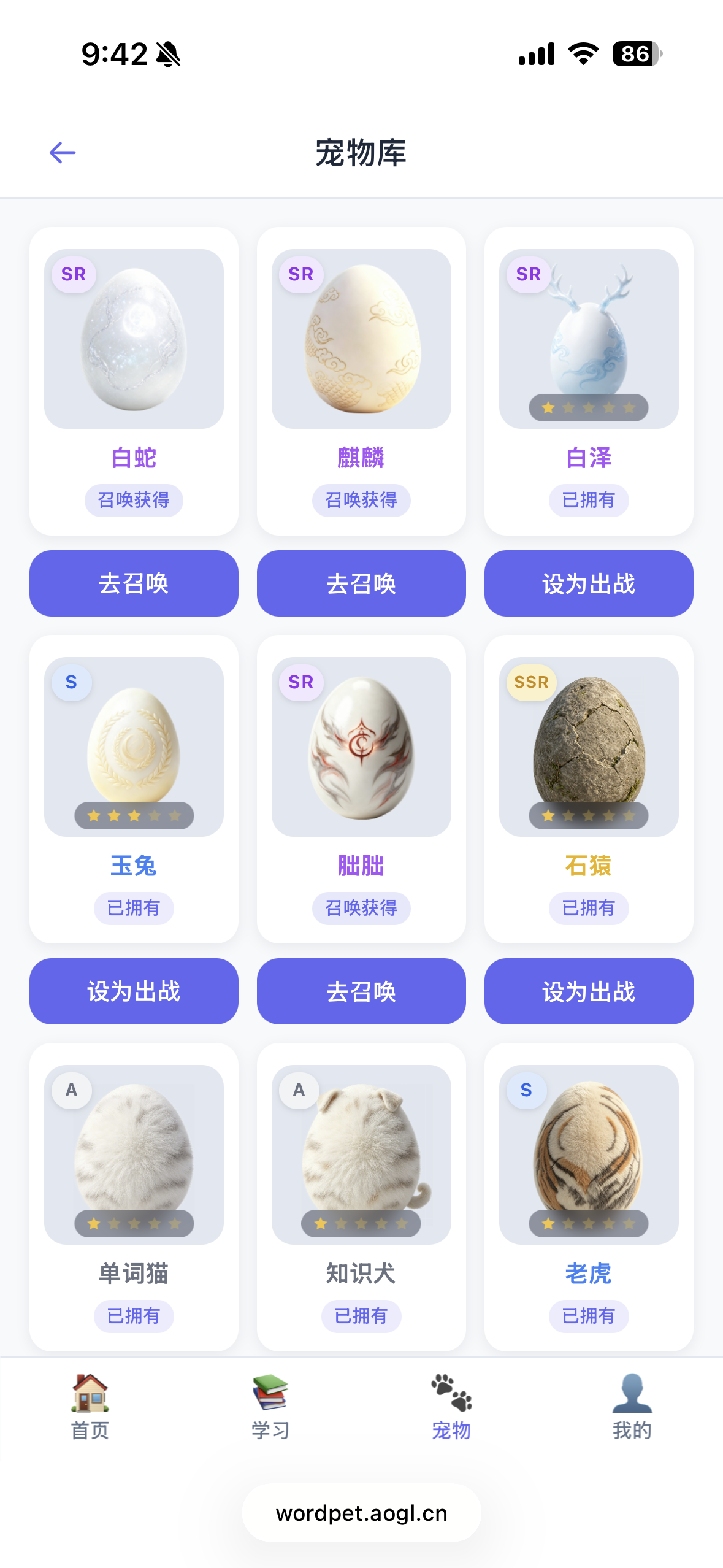 WordPet 宠物库网格 — SSR石猿与单词猫知识犬等稀有度